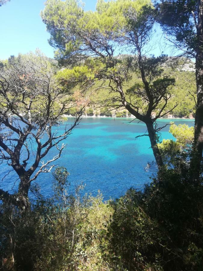 Marinja Studio Διαμέρισμα Žuljana Εξωτερικό φωτογραφία